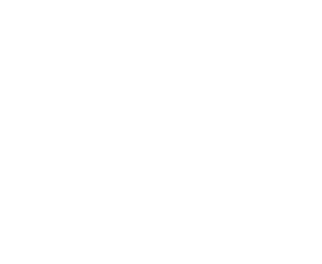 LanEcho